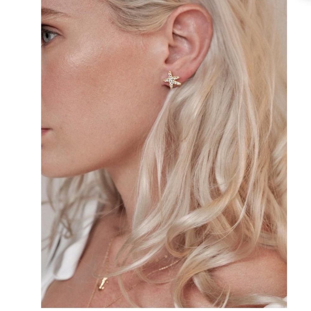 Starfish Stud Earrings ⭐️